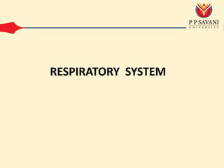 RESPIRATORY SYSTEM
 