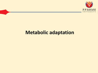 Metabolic adaptation
 