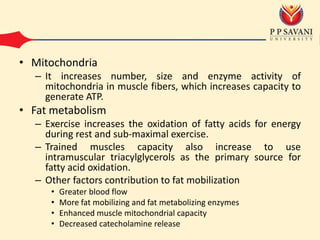 • Mitochondria
– It increases number, size and enzyme activity of
mitochondria in muscle fibers, which increases capacity to
generate ATP.
• Fat metabolism
– Exercise increases the oxidation of fatty acids for energy
during rest and sub-maximal exercise.
– Trained muscles capacity also increase to use
intramuscular triacylglycerols as the primary source for
fatty acid oxidation.
– Other factors contribution to fat mobilization
• Greater blood flow
• More fat mobilizing and fat metabolizing enzymes
• Enhanced muscle mitochondrial capacity
• Decreased catecholamine release
 
