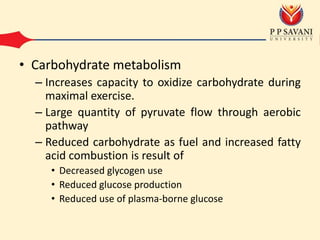 • Carbohydrate metabolism
– Increases capacity to oxidize carbohydrate during
maximal exercise.
– Large quantity of pyruvate flow through aerobic
pathway
– Reduced carbohydrate as fuel and increased fatty
acid combustion is result of
• Decreased glycogen use
• Reduced glucose production
• Reduced use of plasma-borne glucose
 