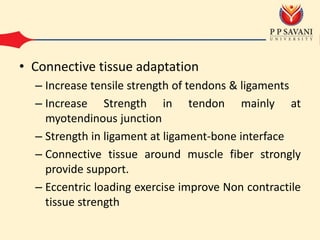 • Connective tissue adaptation
– Increase tensile strength of tendons & ligaments
– Increase Strength in tendon mainly at
myotendinous junction
– Strength in ligament at ligament-bone interface
– Connective tissue around muscle fiber strongly
provide support.
– Eccentric loading exercise improve Non contractile
tissue strength
 