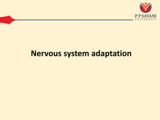 Nervous system adaptation
 