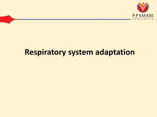 Respiratory system adaptation
 
