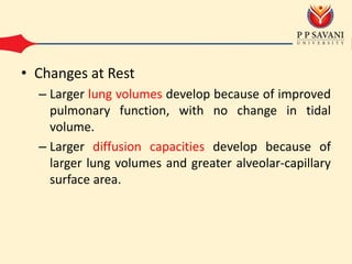 • Changes at Rest
– Larger lung volumes develop because of improved
pulmonary function, with no change in tidal
volume.
– Larger diffusion capacities develop because of
larger lung volumes and greater alveolar-capillary
surface area.
 