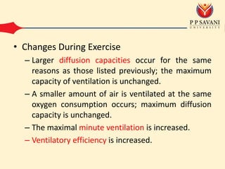 • Changes During Exercise
– Larger diffusion capacities occur for the same
reasons as those listed previously; the maximum
capacity of ventilation is unchanged.
– A smaller amount of air is ventilated at the same
oxygen consumption occurs; maximum diffusion
capacity is unchanged.
– The maximal minute ventilation is increased.
– Ventilatory efficiency is increased.
 
