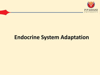 Endocrine System Adaptation
 