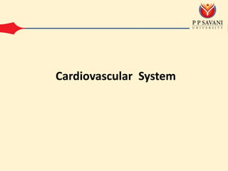 Cardiovascular System
 