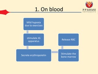 1. On blood
Mild hypoxia
due to exercises
stimulate JG
apparatus
Secrete erythropoietin
Stimulate the
bone marrow
Release RBC
 