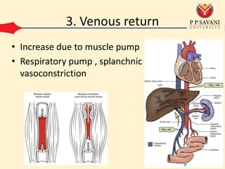 3. Venous return
• Increase due to muscle pump
• Respiratory pump , splanchnic
vasoconstriction
 