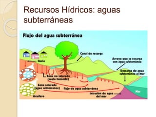 Recursos Hídricos: aguas
subterráneas
 