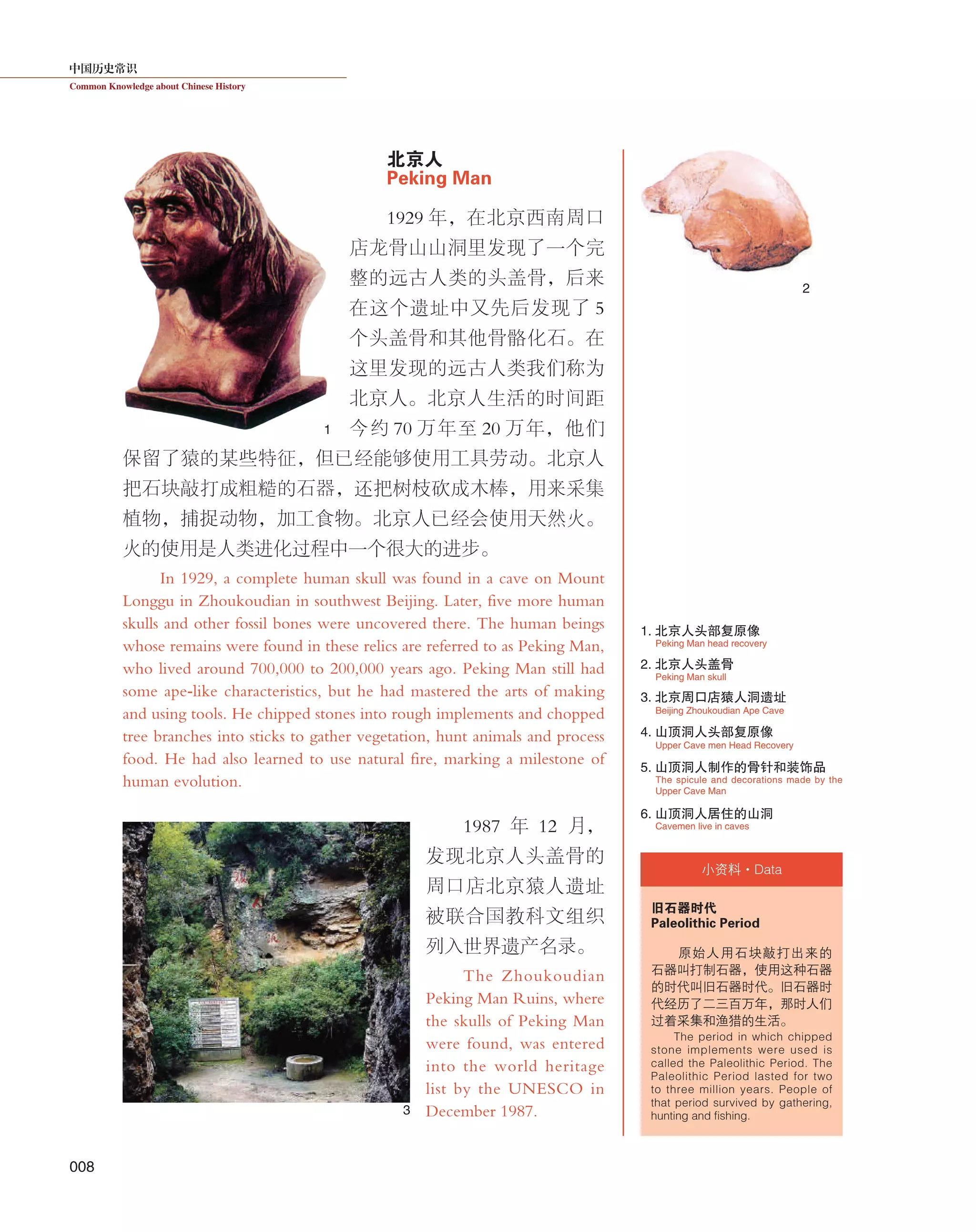 中国历史常识
Common Knowledge about Chinese History
008
北京人
Peking Man
1929 年，在北京西南周口
店龙骨山山洞里发现了一个完
整的远古人类的头盖骨，后来
在这个遗址中又先后发现了 5
个头盖骨和其他骨骼化石。在
这里发现的远古人类我们称为
北京人。北京人生活的时间距
今约 70 万年至 20 万年，他们
保留了猿的某些特征，但已经能够使用工具劳动。北京人
把石块敲打成粗糙的石器，还把树枝砍成木棒，用来采集
植物，捕捉动物，加工食物。北京人已经会使用天然火。
火的使用是人类进化过程中一个很大的进步。
In 1929, a complete human skull was found in a cave on Mount
Longgu in Zhoukoudian in southwest Beijing. Later, five more human
skulls and other fossil bones were uncovered there. The human beings
whose remains were found in these relics are referred to as Peking Man,
who lived around 700,000 to 200,000 years ago. Peking Man still had
some ape-like characteristics, but he had mastered the arts of making
and using tools. He chipped stones into rough implements and chopped
tree branches into sticks to gather vegetation, hunt animals and process
food. He had also learned to use natural fire, marking a milestone of
human evolution.
1987 年 12 月，
发现北京人头盖骨的
周口店北京猿人遗址
被联合国教科文组织
列入世界遗产名录。
The Zhoukoudian
Peking Man Ruins, where
the skulls of Peking Man
were found, was entered
into the world heritage
list by the UNESCO in
December 1987.
小资料·Data
旧石器时代
Paleolithic Period
原始人用石块敲打出来的
石器叫打制石器，使用这种石器
的时代叫旧石器时代。旧石器时
代经历了二三百万年，那时人们
过着采集和渔猎的生活。
The period in which chipped
stone implements were used is
called the Paleolithic Period. The
Paleolithic Period lasted for two
to three million years. People of
that period survived by gathering,
hunting and fishing.
2. 北京人头盖骨
3. 北京周口店猿人洞遗址
Peking Man skull
Beijing Zhoukoudian Ape Cave
1
2
3
Peking Man head recovery
1. 北京人头部复原像
4. 山顶洞人头部复原像
6. 山顶洞人居住的山洞
5. 山顶洞人制作的骨针和装饰品
Upper Cave men Head Recovery
Cavemen live in caves
The spicule and decorations made by the
Upper Cave Man
 