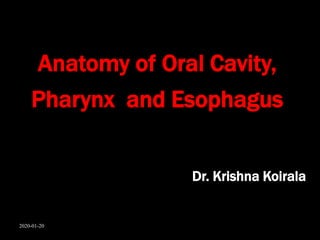 Anatomy of Oral Cavity,
Pharynx and Esophagus
Dr. Krishna Koirala
2020-01-20
 