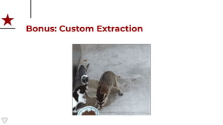 Bonus: Custom Extraction
 