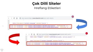 74
Çok Dilli Siteler
Hreﬂang Etiketleri
 