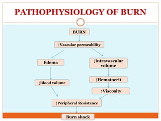 PATHOPHYSIOLOGY OF BURN
BURN
↑Vascular permeability
Edema ↓intravascular
volume
↓Blood volume
↑Hematocrit
↑Peripheral Resistance
↑Viscosity
Burn shock
 