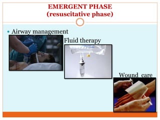 EMERGENT PHASE
(resuscitative phase)
 Airway management
Fluid therapy
Wound care
 