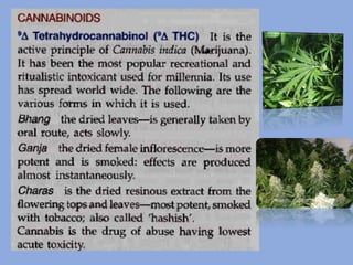 CNS stimulants drugs