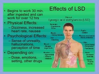 CNS stimulants drugs