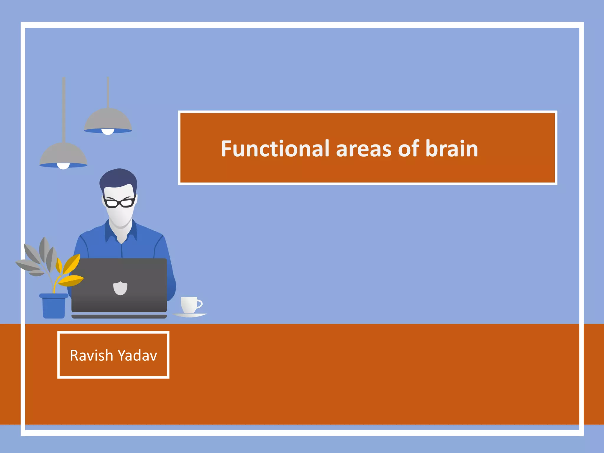 Functional Region: Transform Your Business With Functional Region - 1x2clw6