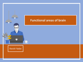 Functional areas of brain
Ravish Yadav
 