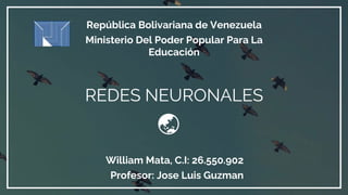 REDES NEURONALES
República Bolivariana de Venezuela
Ministerio Del Poder Popular Para La
Educación
William Mata, C.I: 26.550.902
Profesor: Jose Luis Guzman
🌏
 