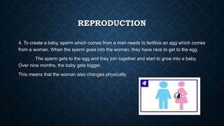 REPRODUCTION
4. To create a baby, sperm which comes from a man needs to fertilize an agg which comes
from a woman. When the sperm goes into the woman, they have race to get to the egg.
The sperm gets to the egg and they join together and start to grow into a baby.
Over nine months, the baby gets bigger.
This means that the woman also changes physically.
 