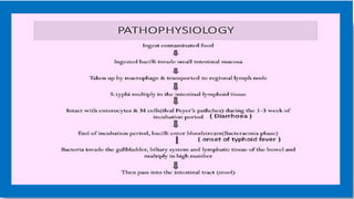 a case study on typhoid ( enteric fever)