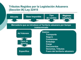 Base Imponible
Tipo
de cambio
RRééggiimmeenn
ttrriibbuuttaarriioo
Gastos:
Transporte
Seguro
Comisiones
Embalaje
Carga
Documentos
Derechos, Tributos
Fuera del territorio aduanero
Tributos Regidos por la Legislación Aduanera
(Sección IX) Ley 22415
Alícuota
Ad Valorem
Tipos de
derecho
Específico
Mercadería que se introduce al Territorio aduanero por tiempo
indeterminado
 