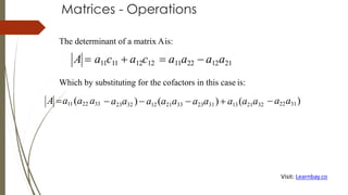 Matrix A13 Matrix introduction and matrix operations. | PDF
