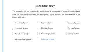 The Human Body
The human body is the structure of a human being. It is composed of many different types of
cells that together create tissues and subsequently organ systems. The main systems of the
human body are:
• Circulatory System • Digestive System • Immune System
• Lymphatic System • Muscular System • Nervous System
• Reproductive System • Respiratory System • Urinary System
• Endocrine System• Integumentary System
 