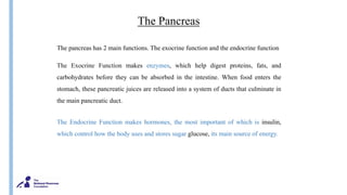 The Pancreas
The pancreas has 2 main functions. The exocrine function and the endocrine function
The Exocrine Function makes enzymes, which help digest proteins, fats, and
carbohydrates before they can be absorbed in the intestine. When food enters the
stomach, these pancreatic juices are released into a system of ducts that culminate in
the main pancreatic duct.
The Endocrine Function makes hormones, the most important of which is insulin,
which control how the body uses and stores sugar glucose, its main source of energy.
 