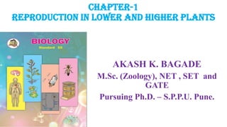 Chapter-1
Reproduction in Lower and Higher Plants
AKASH K. BAGADE
M.Sc. (Zoology), NET , SET and
GATE
Pursuing Ph.D. – S.P.P.U. Pune.
 