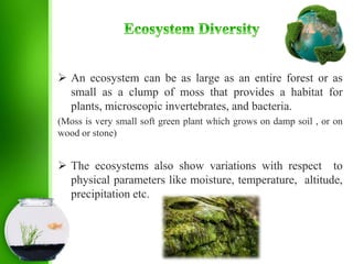  An ecosystem can be as large as an entire forest or as
small as a clump of moss that provides a habitat for
plants, microscopic invertebrates, and bacteria.
(Moss is very small soft green plant which grows on damp soil , or on
wood or stone)
 The ecosystems also show variations with respect to
physical parameters like moisture, temperature, altitude,
precipitation etc.
 