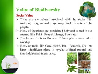 Social Value
 These are the values associated with the social life,
customs, religion and psycho-spiritual aspects of the
people.
 Many of the plants are considered holy and sacred in our
country like Tulsi , Peepal, Mango, Lotus etc.
 The leaves, fruits or flowers of these plants are used in
worship.
 Many animals like Cow, snake, Bull, Peacock, Owl etc
have significant place in psycho-spiritual ground and
thus hold social importance.
 