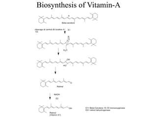 Biosynthesis of Vitamin-A
 