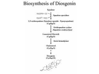 Biosynthesis of Diosgenin
 