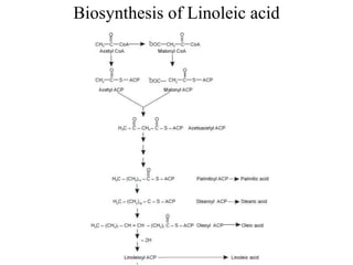Biosynthesis of Linoleic acid
 