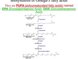 Biosynthesis of Omega-3 fatty acids
They are PUFA (polyunsaturated fatty acids) named
EPA (Eicosapentaenoic Acid), DHA (Docosahexaenoic
Acid)
 
