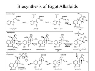 Biosynthesis of Ergot Alkaloids
 