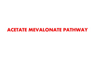 ACETATE MEVALONATE PATHWAY
 
