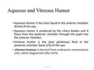 Viterous Humor Function 1. anatomy and physiology eye | PPTX