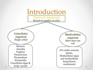 Introduction
Types of organisms
(based of number of cells)
Unicellular
organism
Single celled
Multicellular
organism
More than one
cell
Bacteria
Amoeba
Euglena
Paramecium
Plasmodium
Entamoeba
Unicellular algae &
fungi (yeast)
All visible animals,
plants,
Multicellular algae
and multicellular
fungi (boost,
mushroom)
 