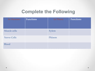 Complete the Following
In Humans Functions In Plants Functions
Muscle cells Xylem
Nerve Cells Phloem
Blood
 