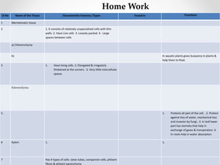 Sl No Name of the Tissue Characteristic features /Types Found in Functions
1 Meristematic tissue
2 1. It consists of relatively unspecialized cells with thin
walls. 2. Have Live cells 3. Loosely packed. 4. Large
spaces between cells
a) Chlorenchyma
b) In aquatic plants gives buoyancy in plants &
help them to float.
3 1. Have living cells. 2. Elongated & irregularly
thickened at the corners. 3. Very little intercellular
spaces
Sclerenchyma
5. 1. Protects all part of the cell. . 2. Protect
against loss of water, mechanical loss
and invasion by fungi.. 3. In leaf lower
part has stomata that help in
exchange of gases & transpiration. 4.
In roots help in water absorption.
6 Xylem 1. 1.
7 Has 4 types of cells- sieve tubes, companion cells, phloem
fibres & phloem parenchyma
Home Work
 
