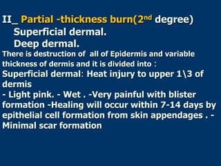 II_ Partial -thickness burn(2nd degree)
Superficial dermal.
Deep dermal.
There is destruction of all of Epidermis and variable
thickness of dermis and it is divided into :
Superficial dermal: Heat injury to upper 13 of
dermis
- Light pink. - Wet . -Very painful with blister
formation -Healing will occur within 7-14 days by
epithelial cell formation from skin appendages . -
Minimal scar formation
 