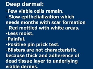 Deep dermal:
-Few viable cells remain.
- Slow epithelialization which
needs months with scar formation
- Red mottled with white areas.
-Less moist.
-Painful.
-Positive pin prick test.
-Blisters are not characteristic
because thick and adherence of
dead tissue layer to underlying
viable dermis.
 