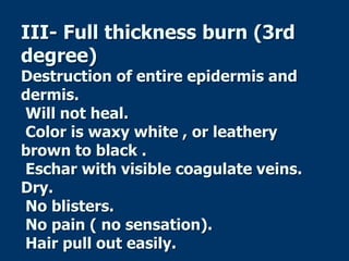 III- Full thickness burn (3rd
degree)
Destruction of entire epidermis and
dermis.
Will not heal.
Color is waxy white , or leathery
brown to black .
Eschar with visible coagulate veins.
Dry.
No blisters.
No pain ( no sensation).
Hair pull out easily.
 