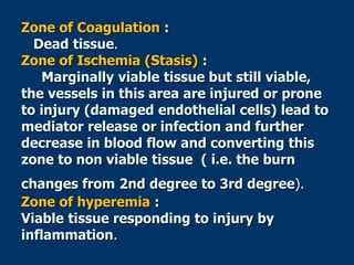 Zone of Coagulation :
Dead tissue.
Zone of Ischemia (Stasis) :
Marginally viable tissue but still viable,
the vessels in this area are injured or prone
to injury (damaged endothelial cells) lead to
mediator release or infection and further
decrease in blood flow and converting this
zone to non viable tissue ( i.e. the burn
changes from 2nd degree to 3rd degree).
Zone of hyperemia :
Viable tissue responding to injury by
inflammation.
 