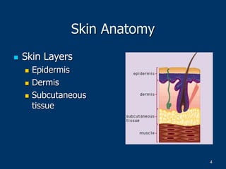 4
Skin Anatomy
 Skin Layers
 Epidermis
 Dermis
 Subcutaneous
tissue
 