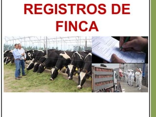 REGISTROS DE
FINCA
PECUARIOS
 